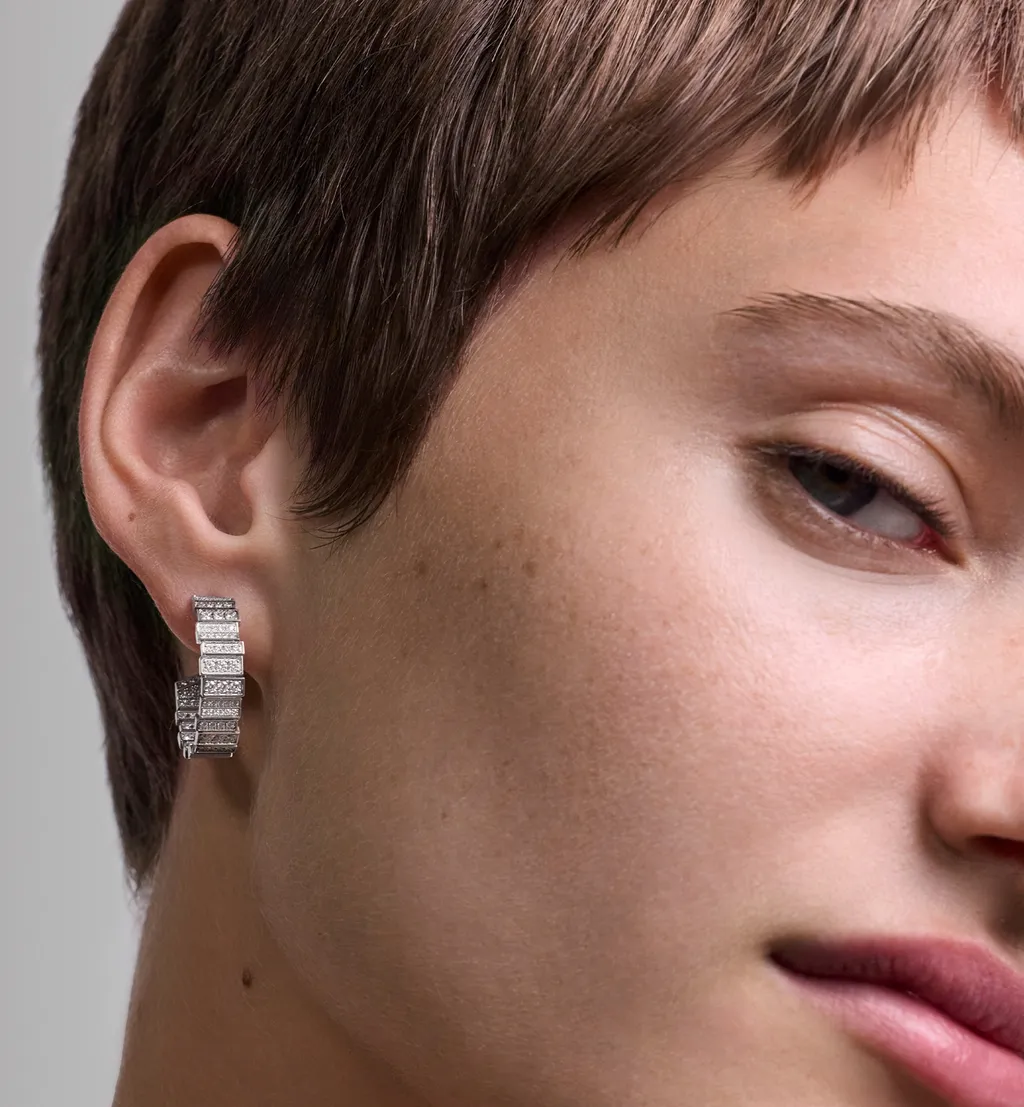Gem Dior Earrings