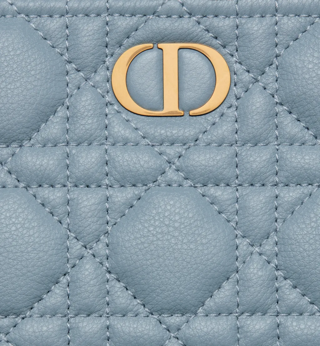 Large Dior Caro Daily Pouch