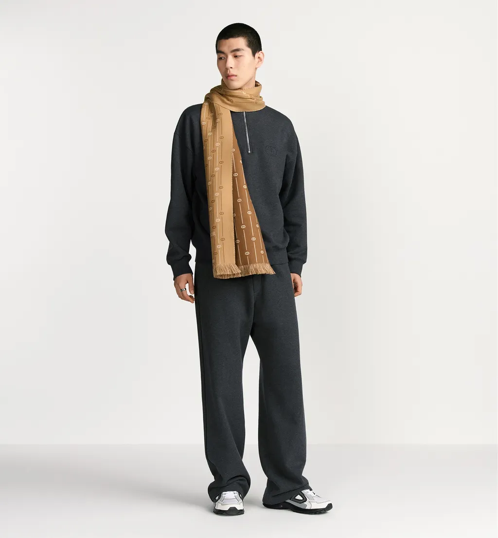 Cd Icon Striped Scarf