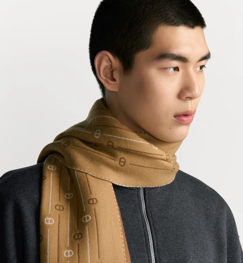 Cd Icon Striped Scarf