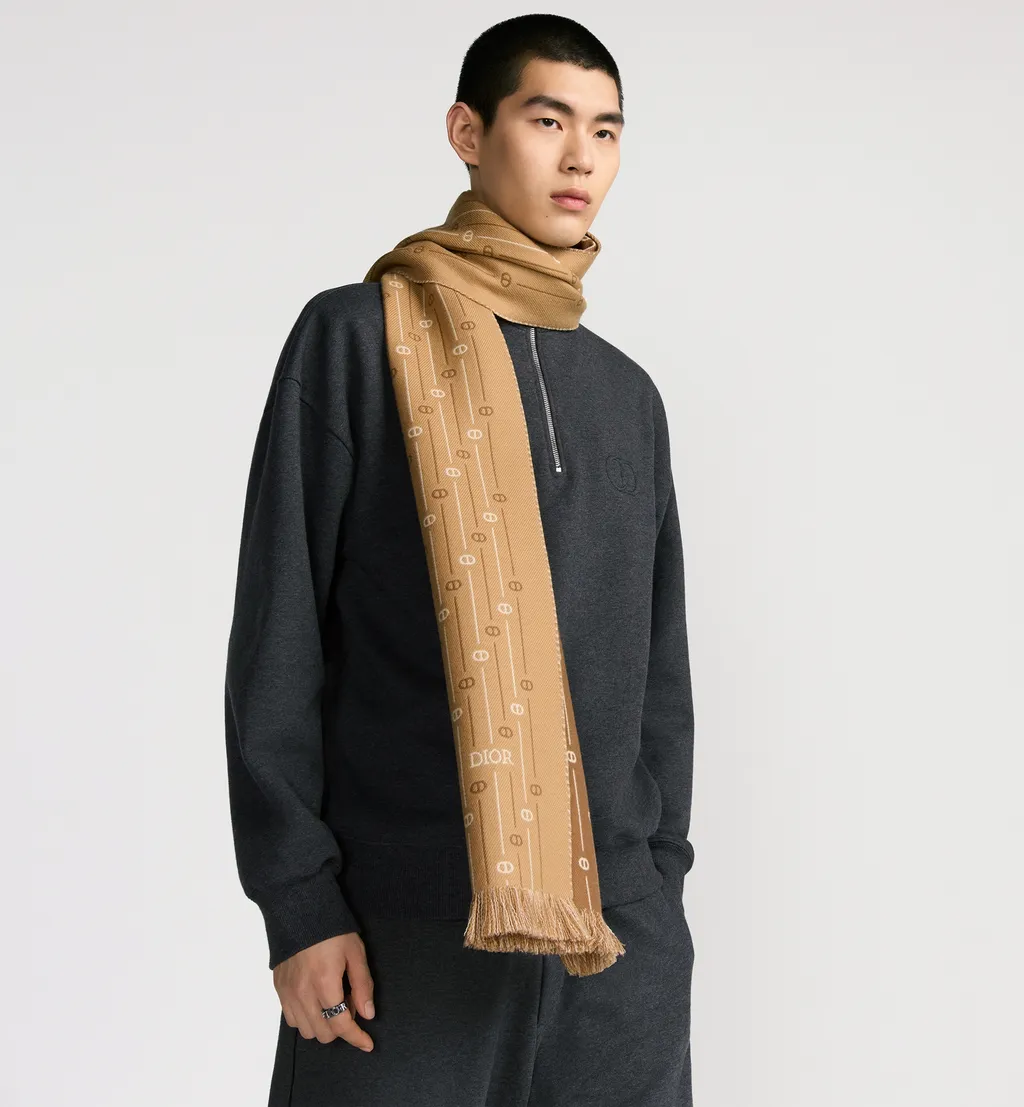 Cd Icon Striped Scarf