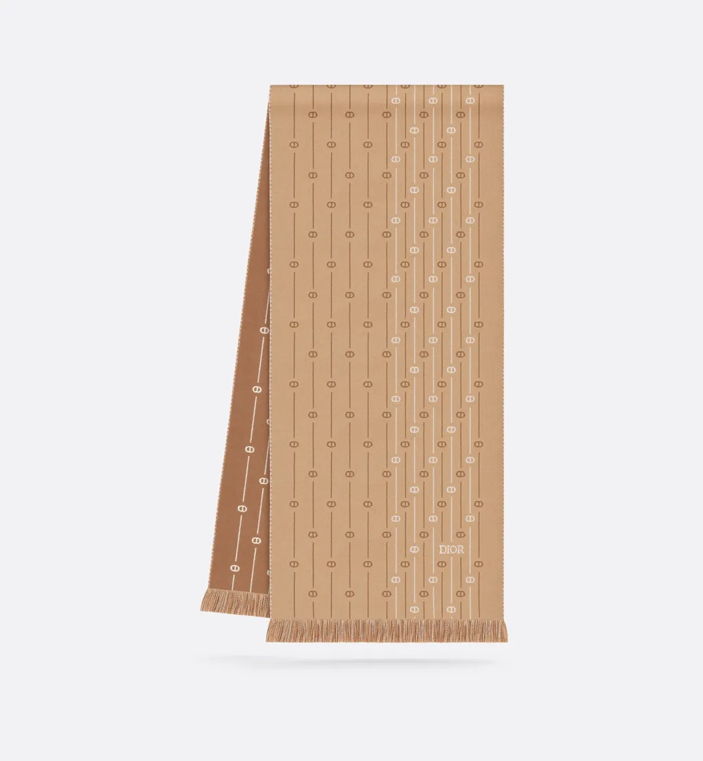 Cd Icon Striped Scarf