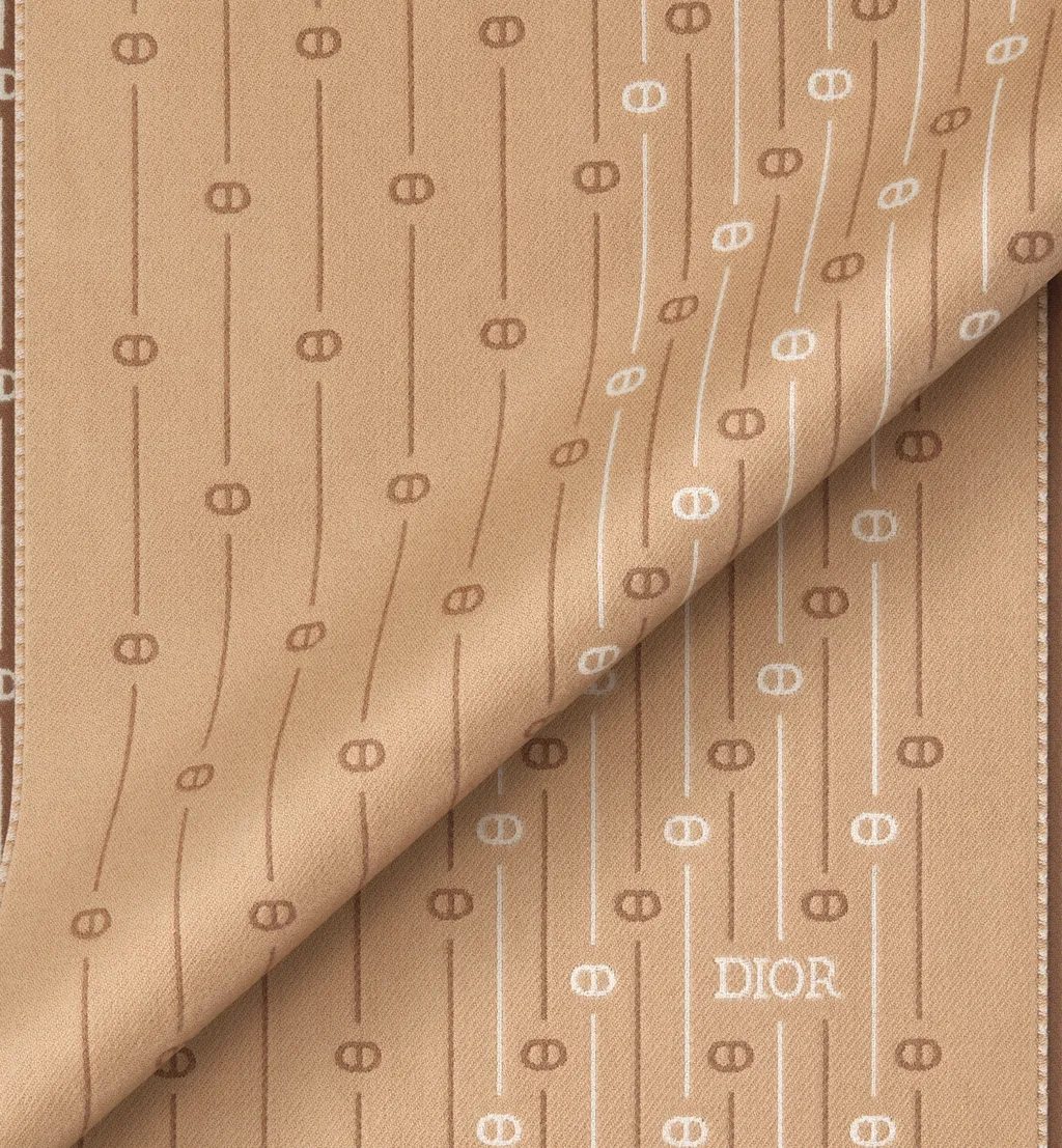 Cd Icon Striped Scarf