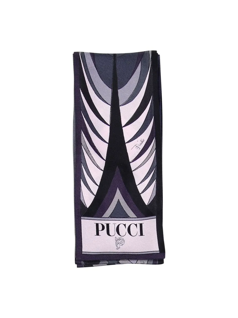 Pucci Printed Rectangle Shaped Scarf