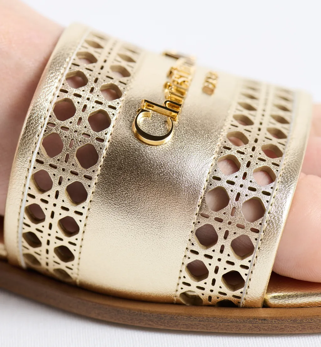 Dior Or D-Lane Slide