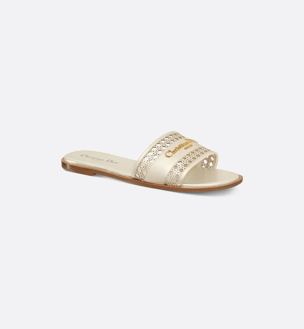 Dior Or D-Lane Slide