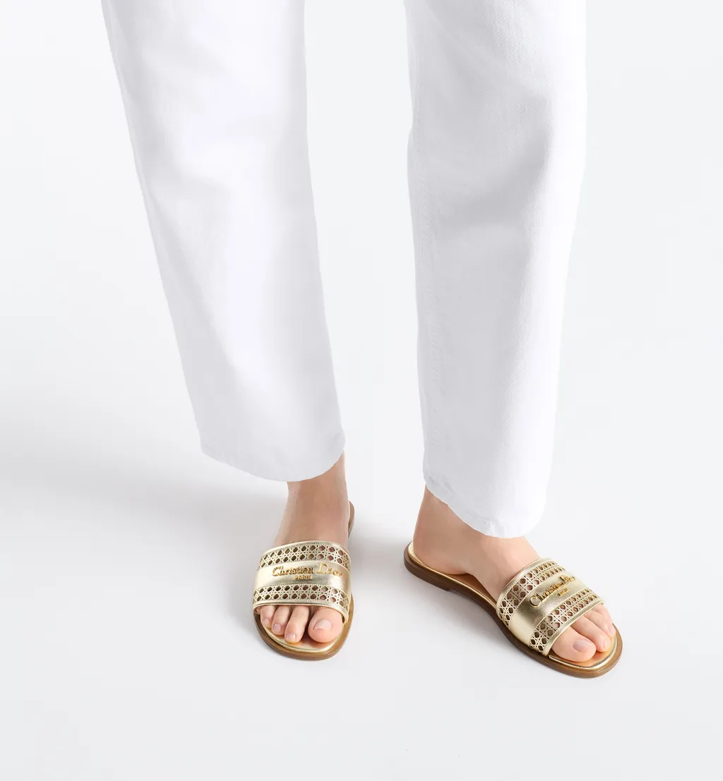 Dior Or D-Lane Slide
