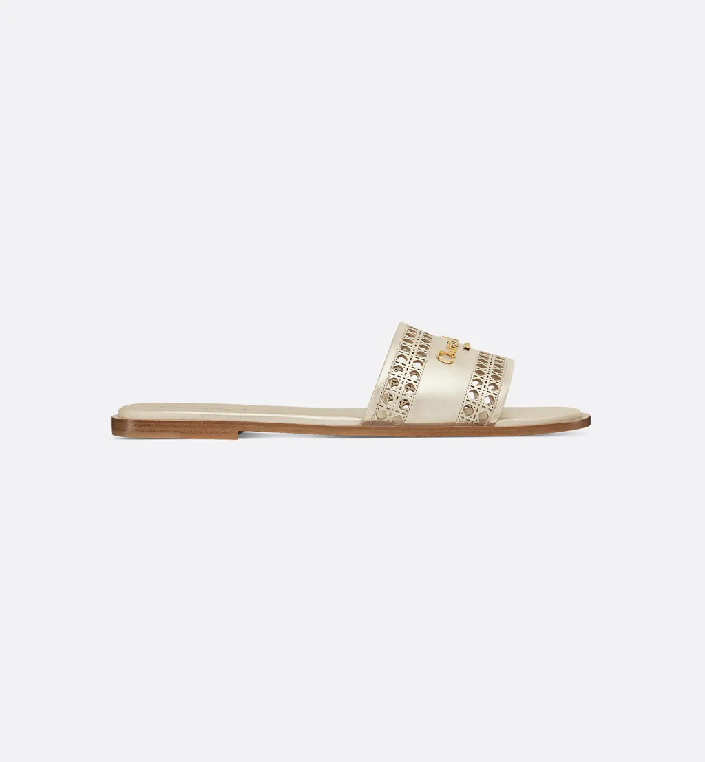 Dior Or D-Lane Slide