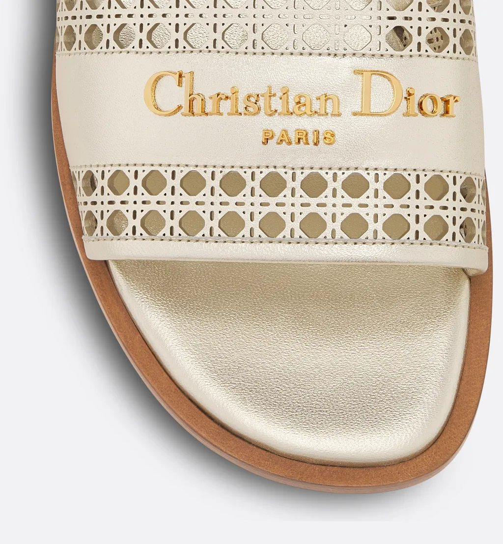 Dior Or D-Lane Slide