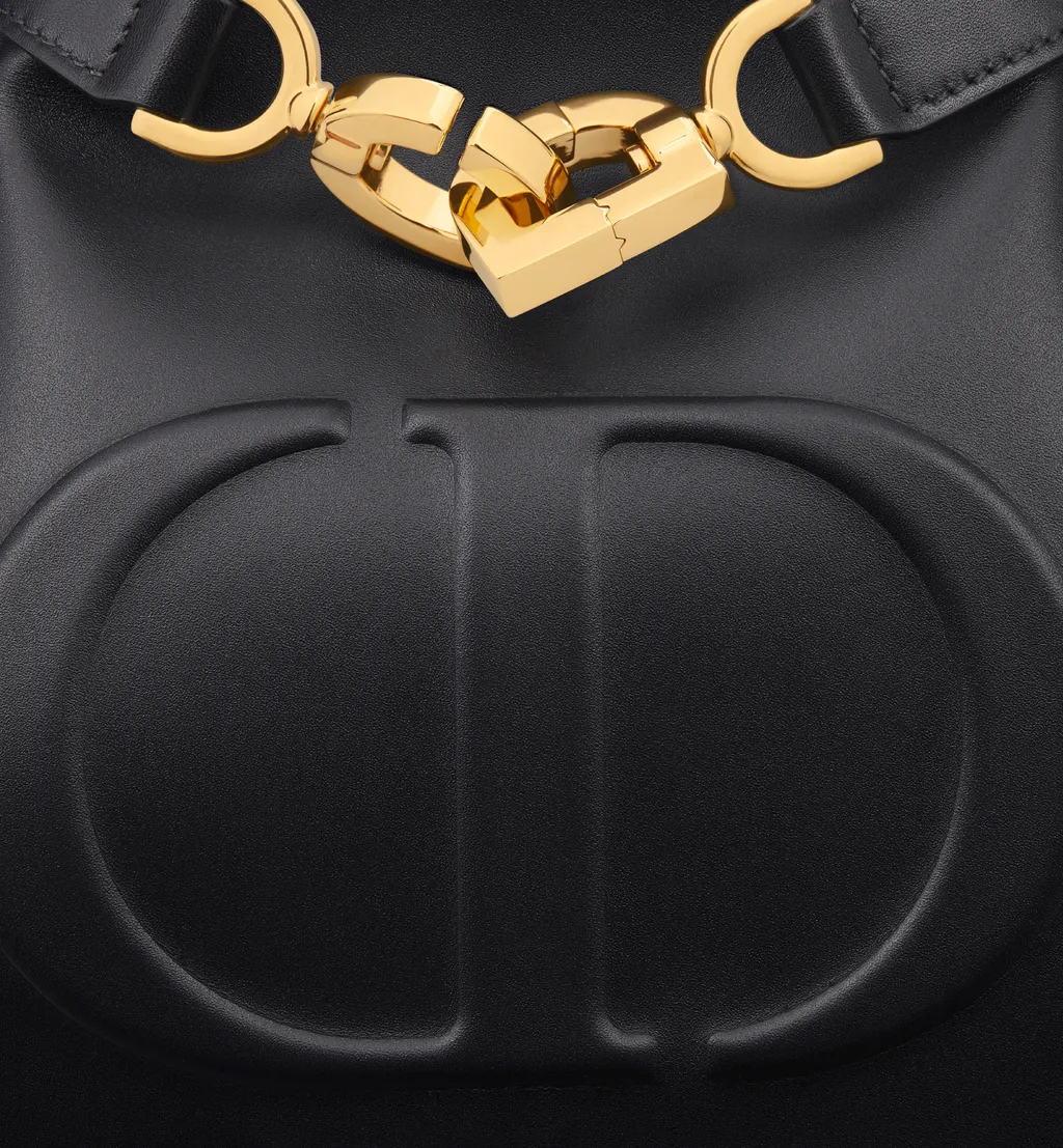 Medium C'est Dior Bag