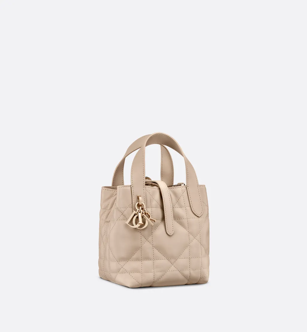 Dior Toujours Vertical Nano Tote Bag