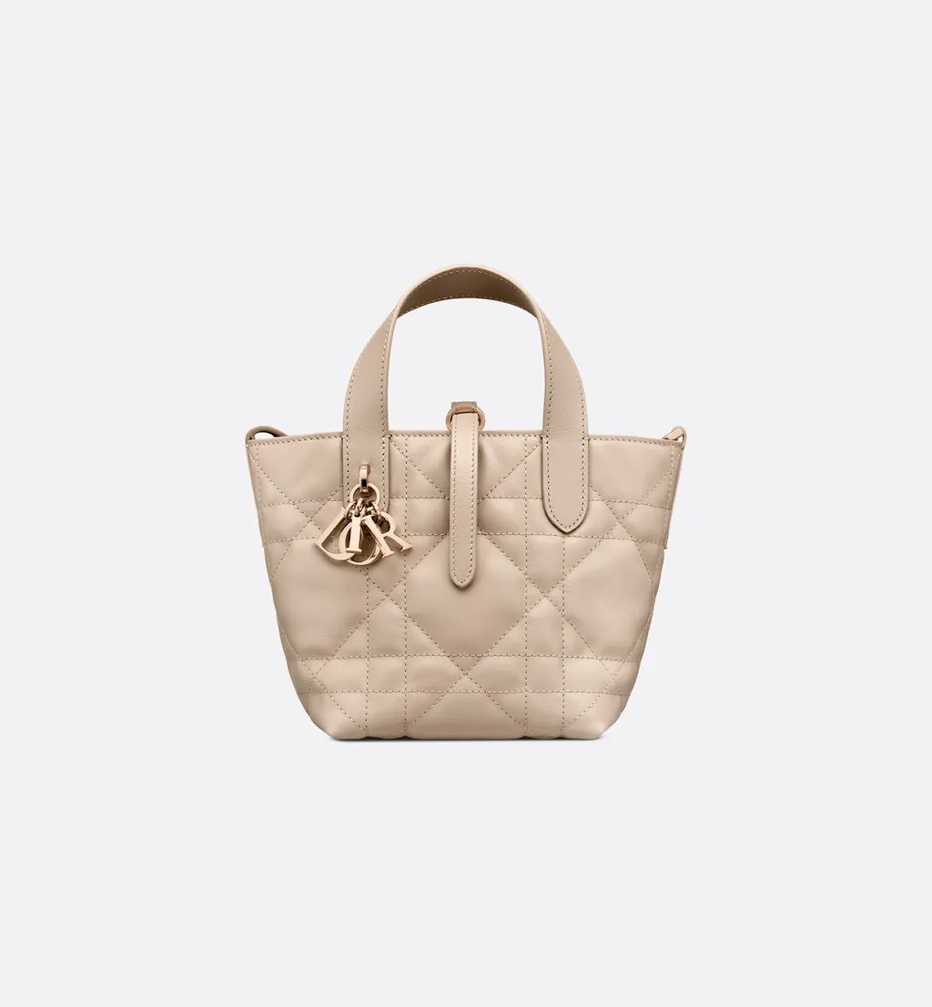Dior Toujours Vertical Nano Tote Bag