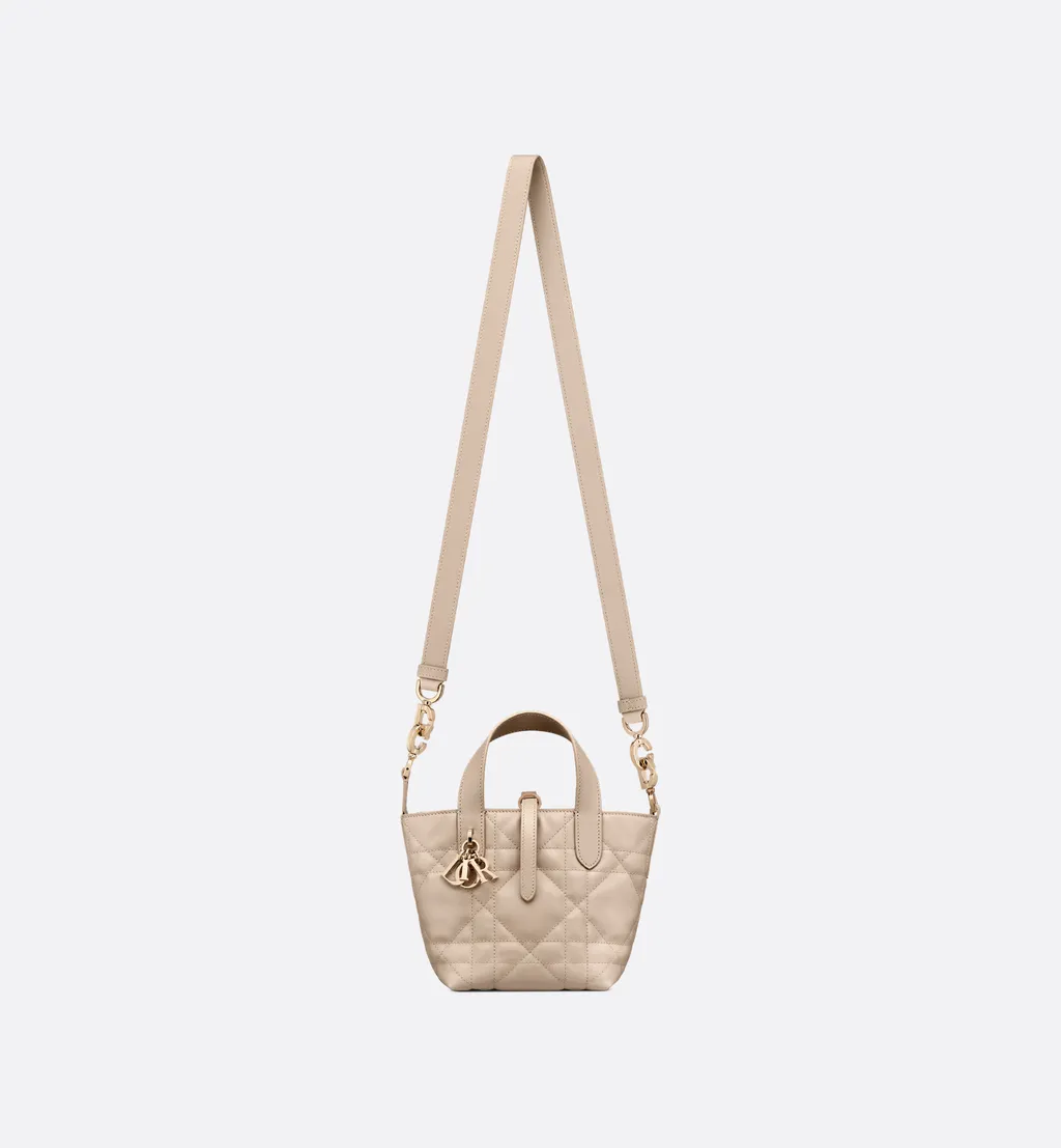 Dior Toujours Vertical Nano Tote Bag