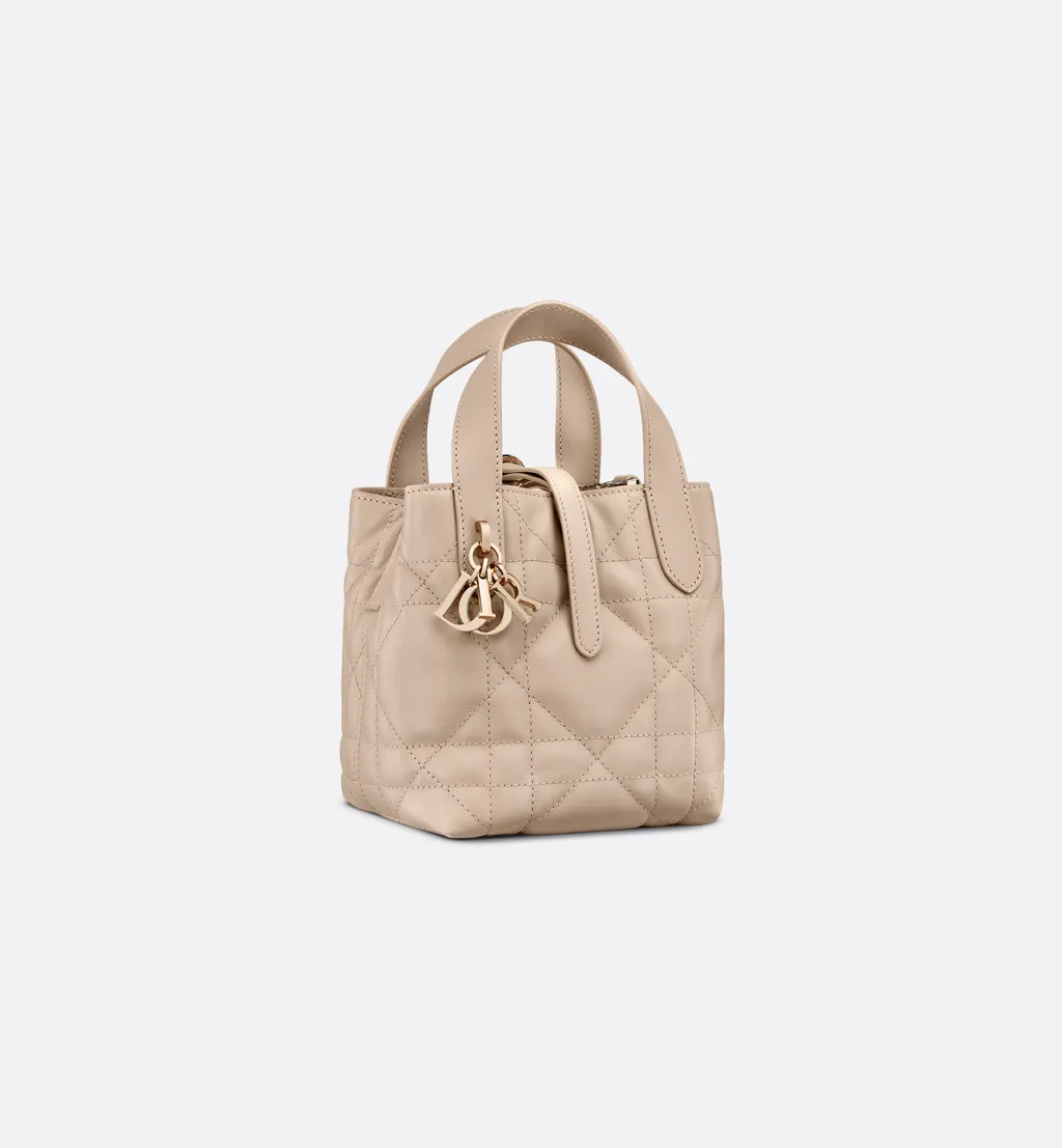 Dior Toujours Vertical Nano Tote Bag