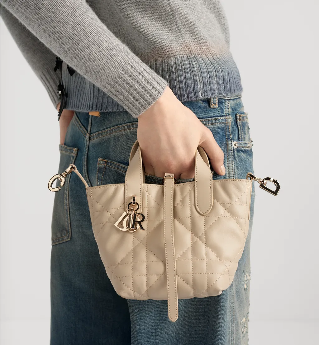 Dior Toujours Vertical Nano Tote Bag