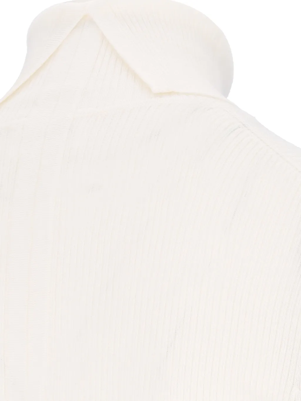 P.A.R.O.S.H. Ribbed Knit Turtleneck