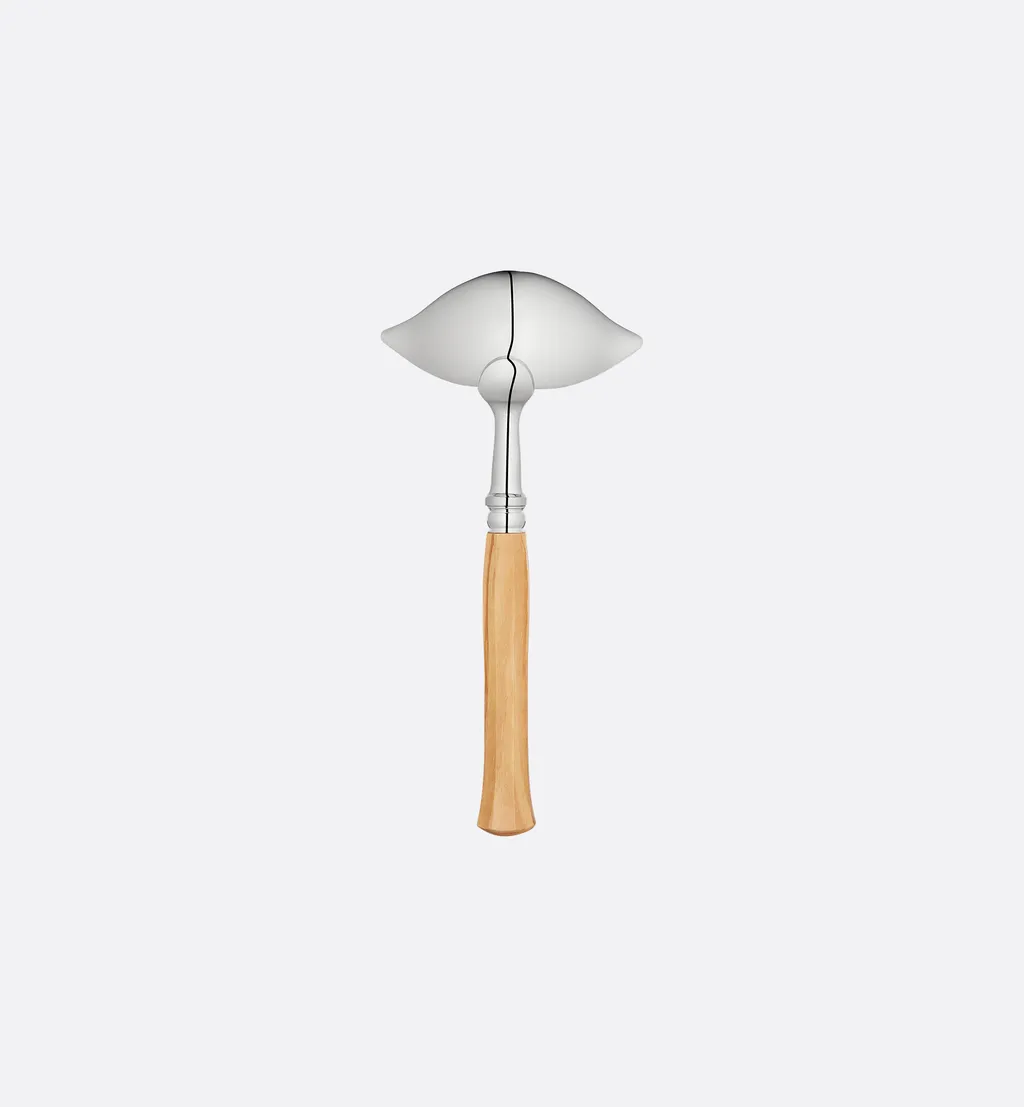 Ladle