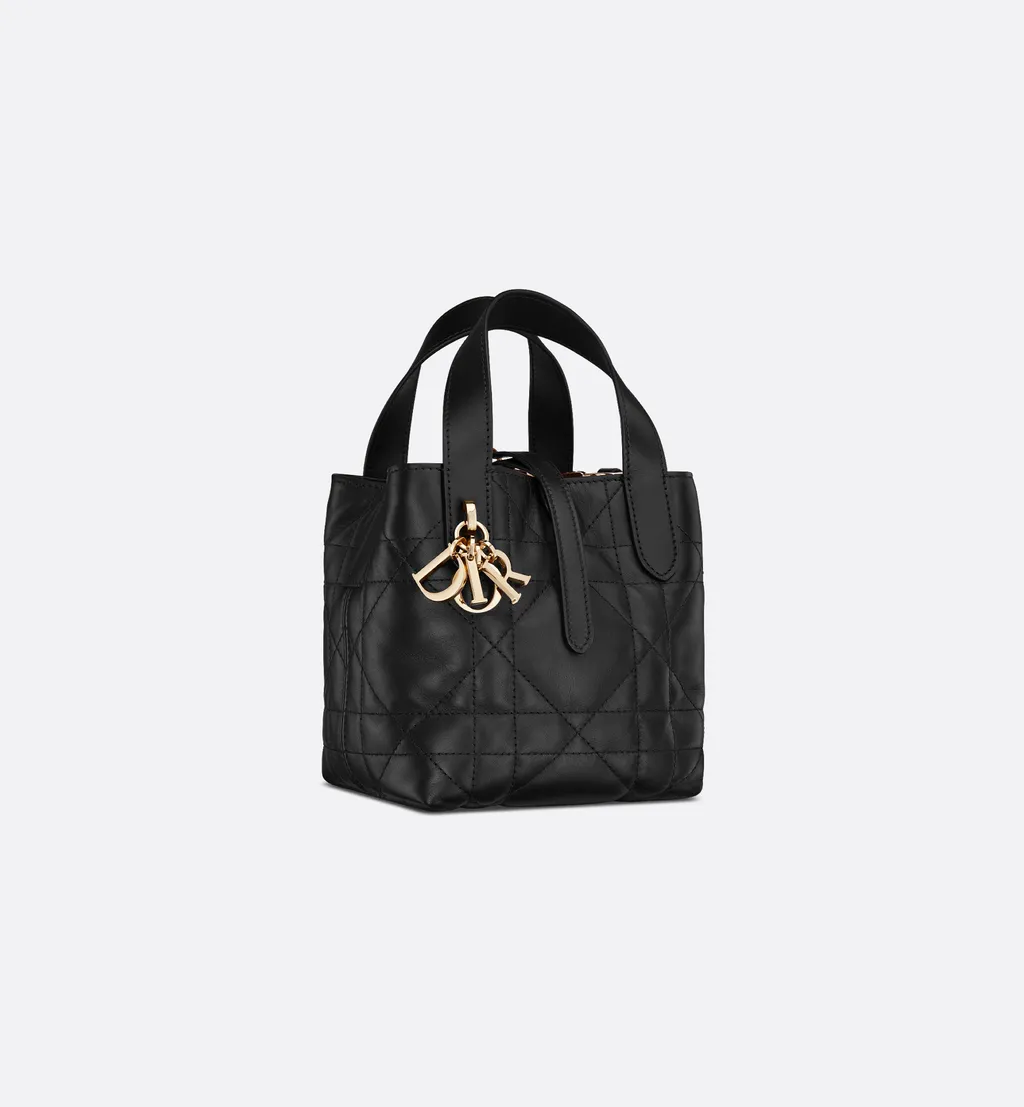 Dior Toujours Vertical Nano Tote Bag
