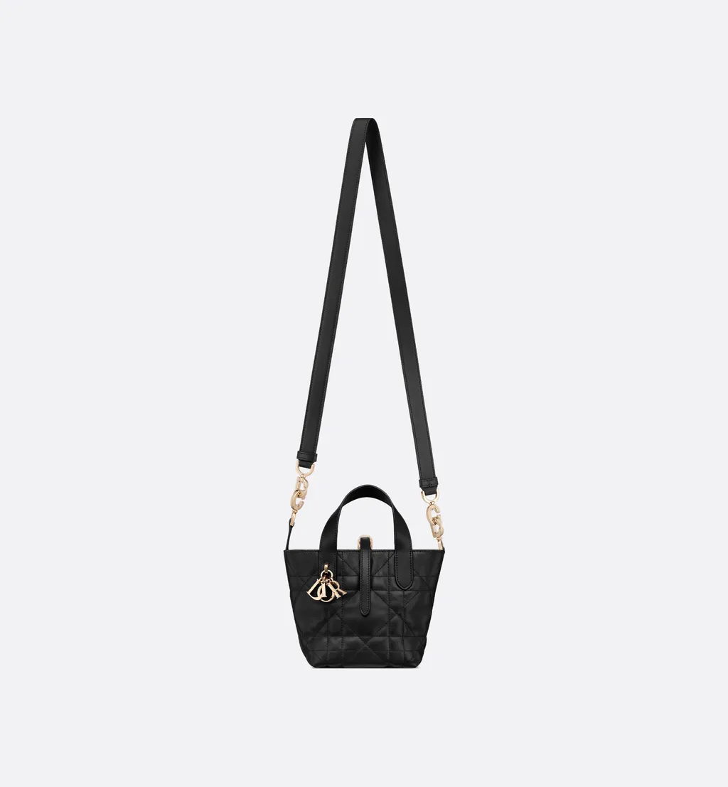 Dior Toujours Vertical Nano Tote Bag