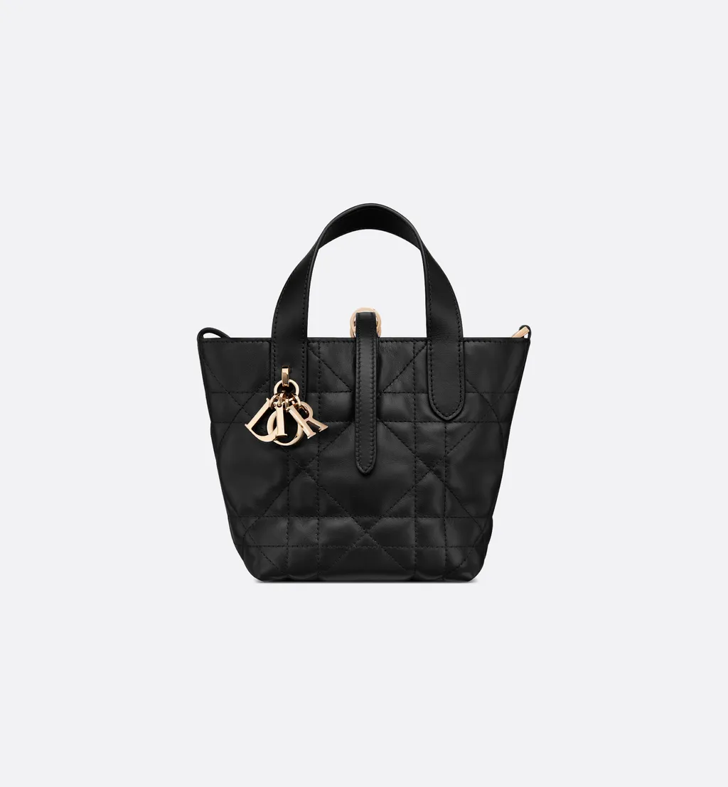 Dior Toujours Vertical Nano Tote Bag