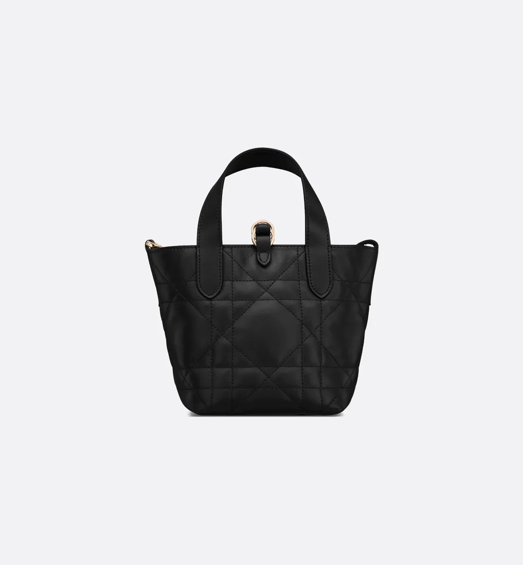 Dior Toujours Vertical Nano Tote Bag