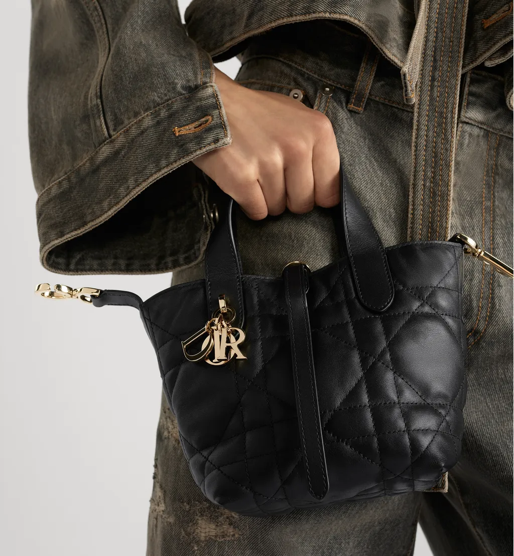 Dior Toujours Vertical Nano Tote Bag