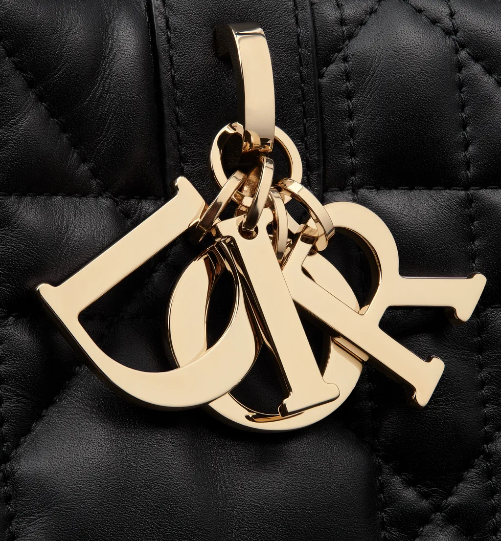 Large Dior Toujours Bag