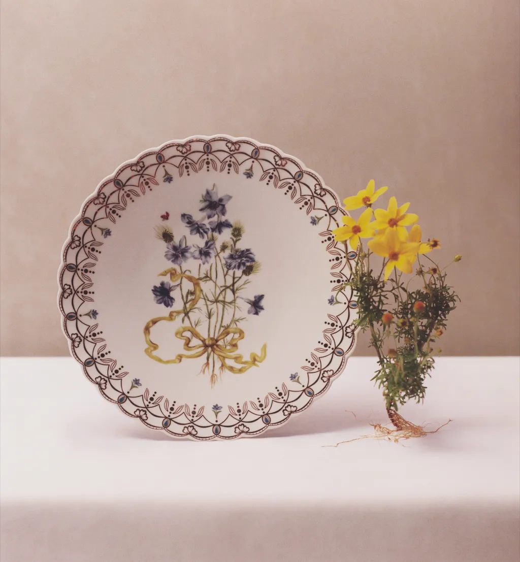 Dinner Plate