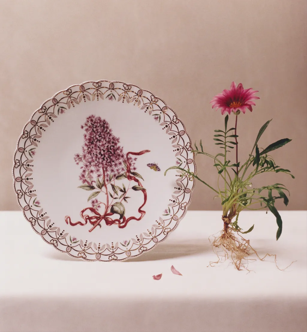 Dinner Plate