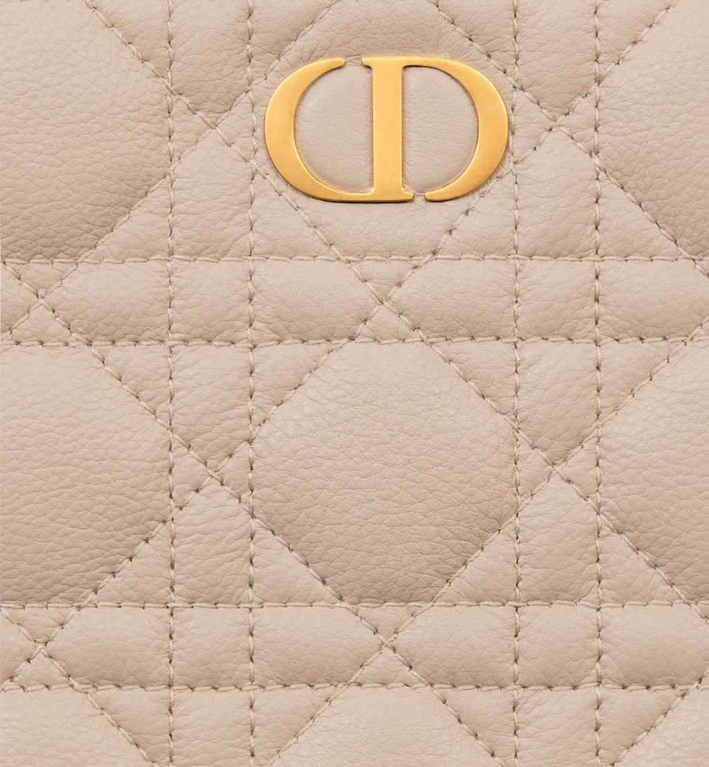 Large Dior Caro Daily Pouch