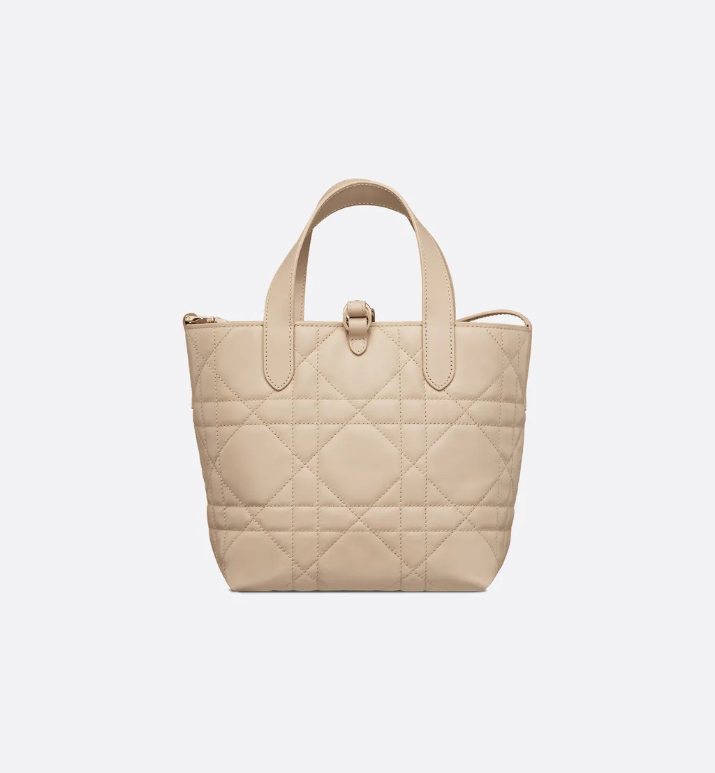Small Dior Toujours Vertical Tote Bag