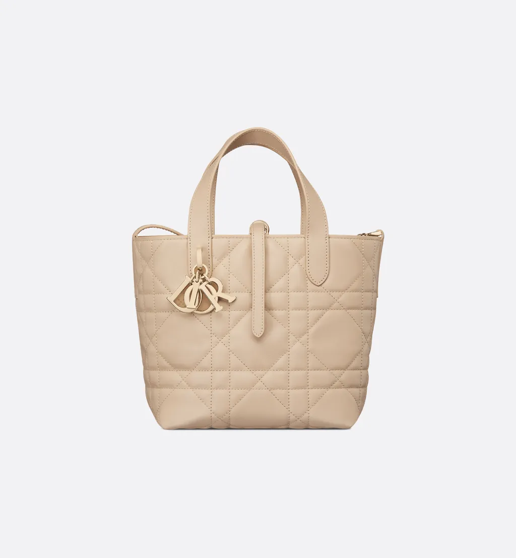 Small Dior Toujours Vertical Tote Bag
