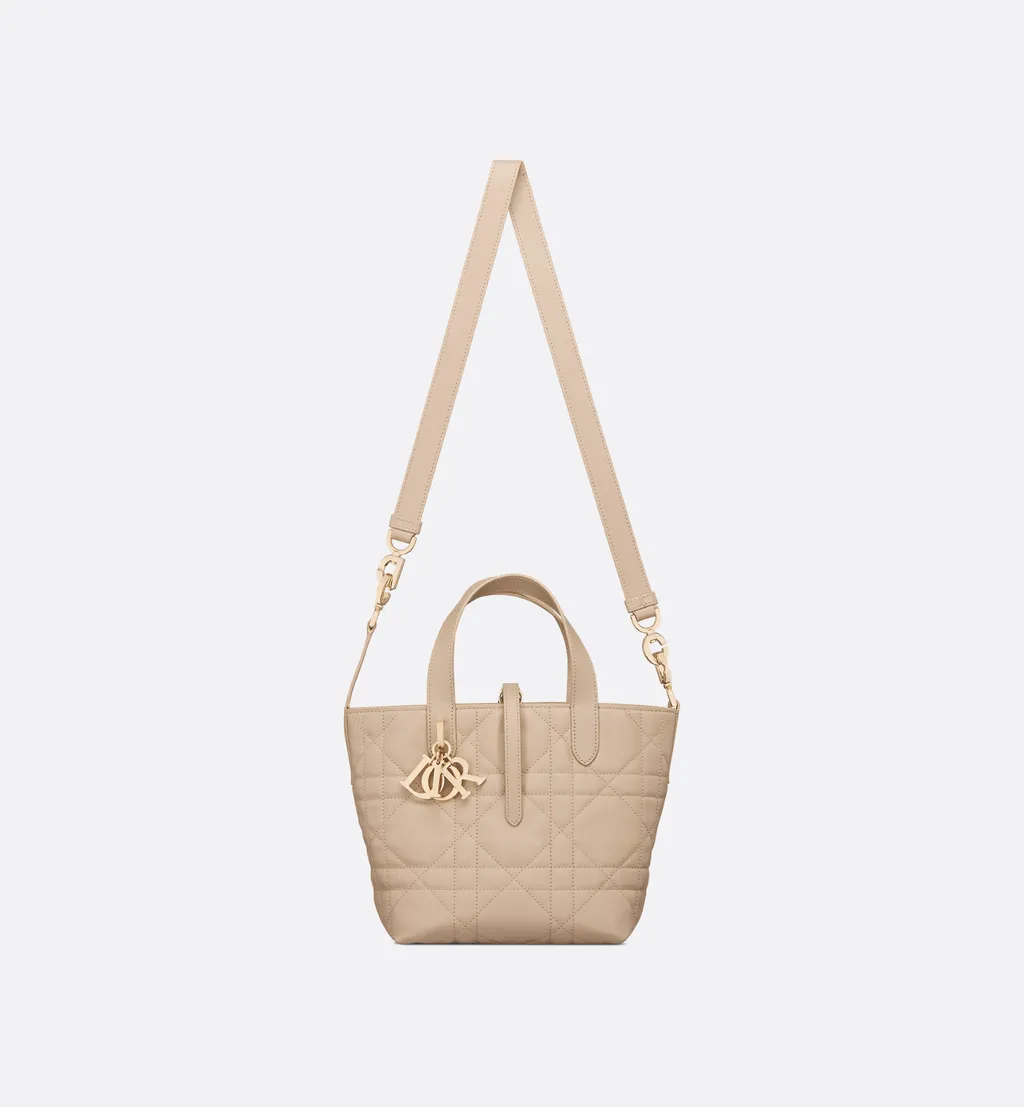 Small Dior Toujours Vertical Tote Bag