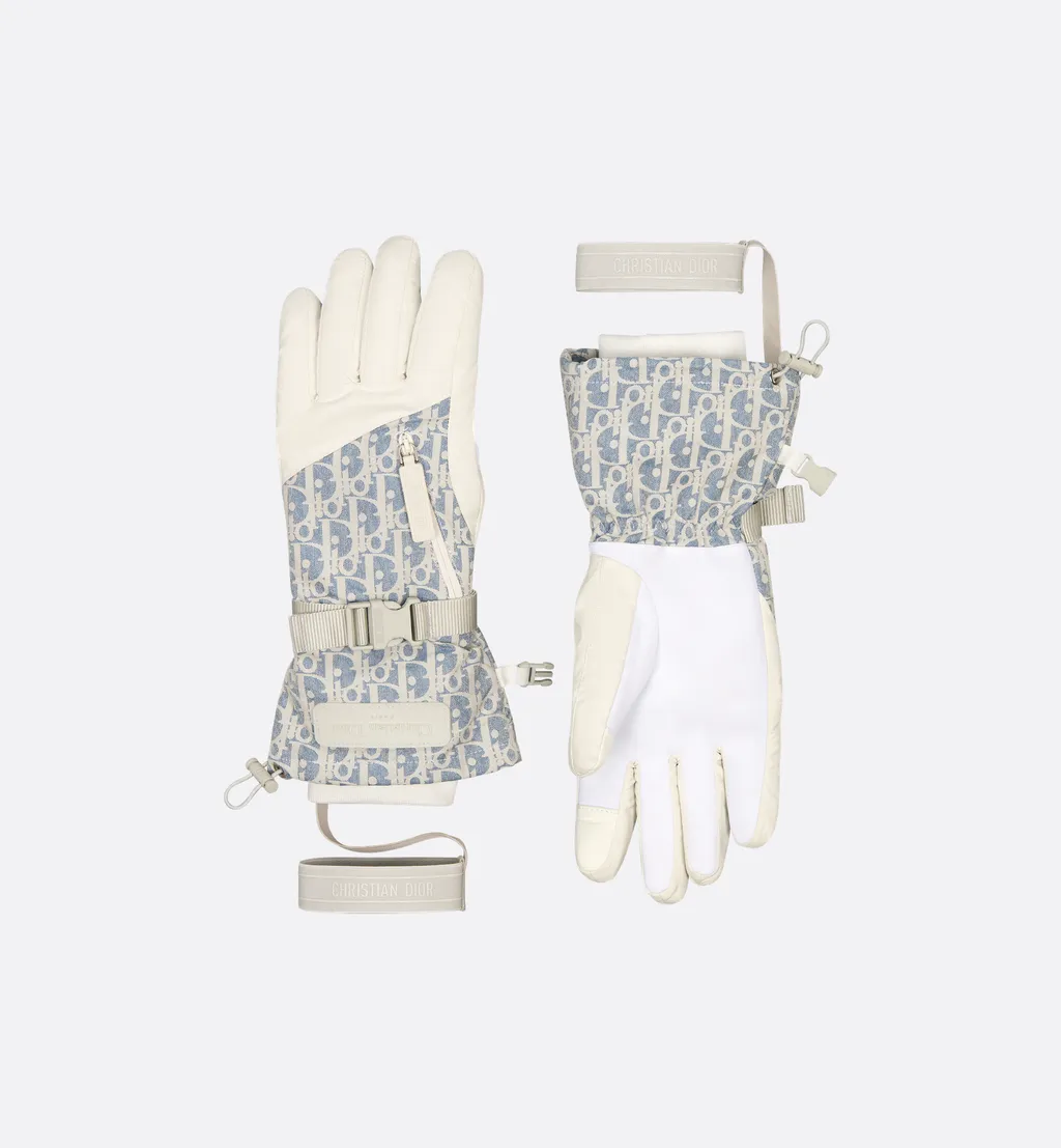 Dioralps Dior Oblique Ski Gloves