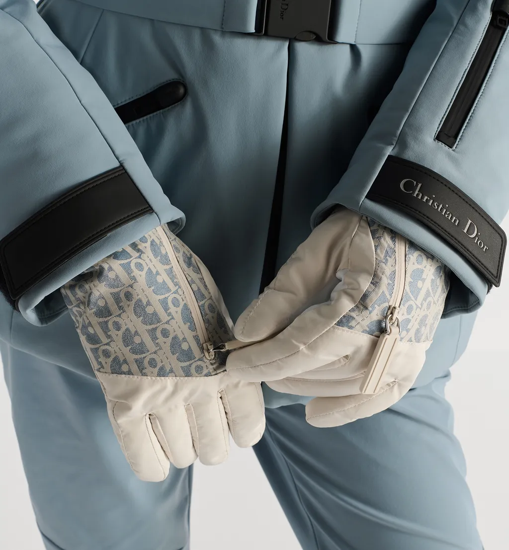 Dioralps Dior Oblique Ski Gloves