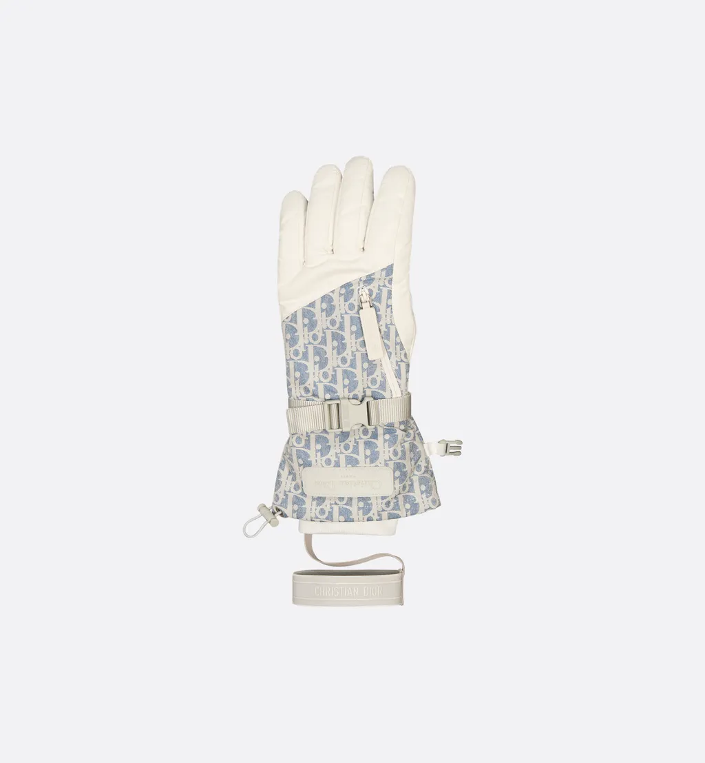 Dioralps Dior Oblique Ski Gloves