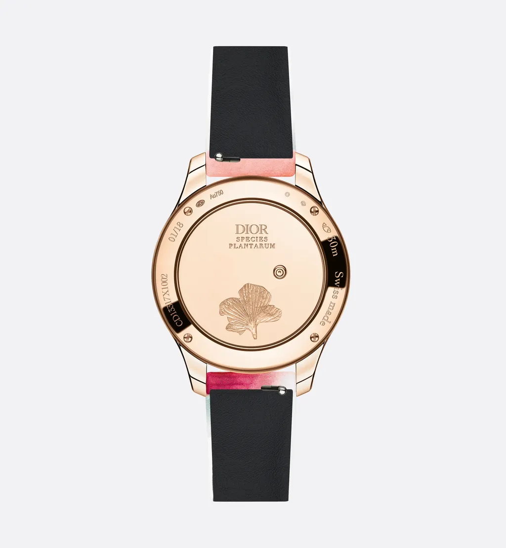 Dior Grand Soir Aquarelle