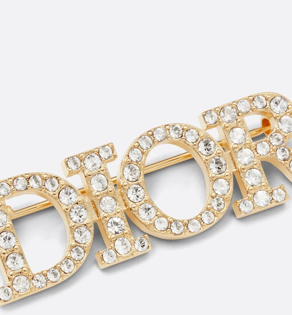 Dioevolution Brooch