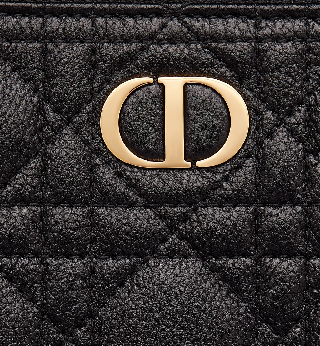 Large Dior Caro Daily Pouch