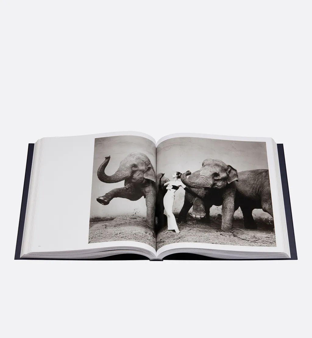 Book: Dior By Avedon