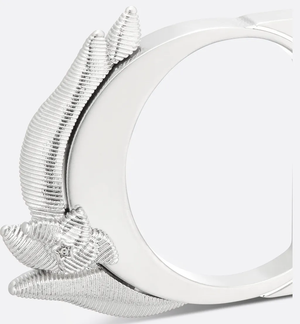 Cd Belt Buckle