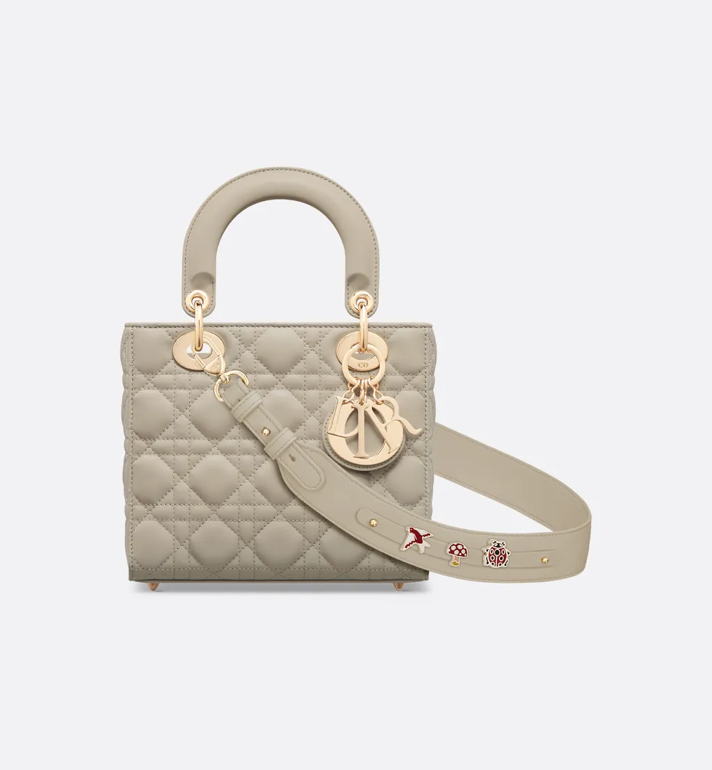 Small Lady Dior My Abcdior Bag