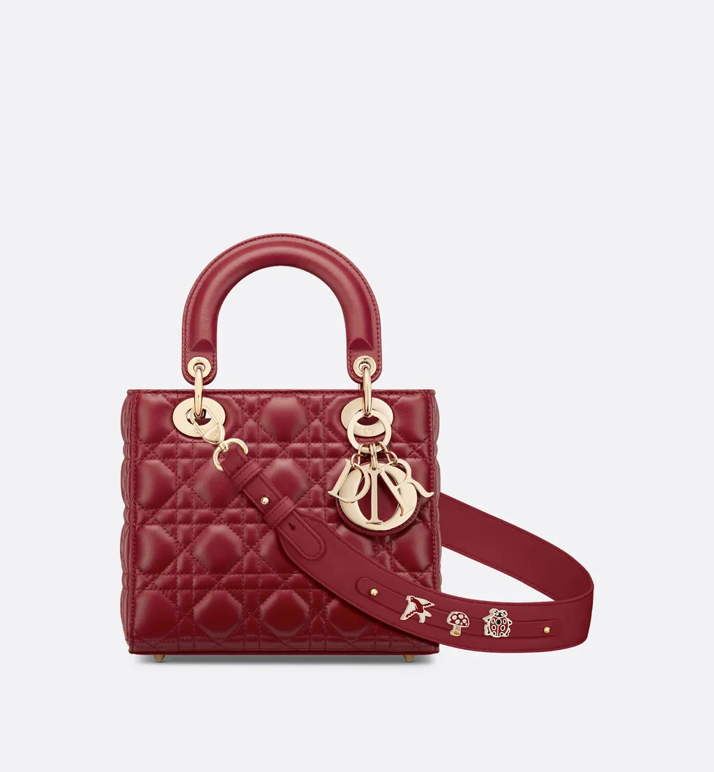 Small Lady Dior My Abcdior Bag