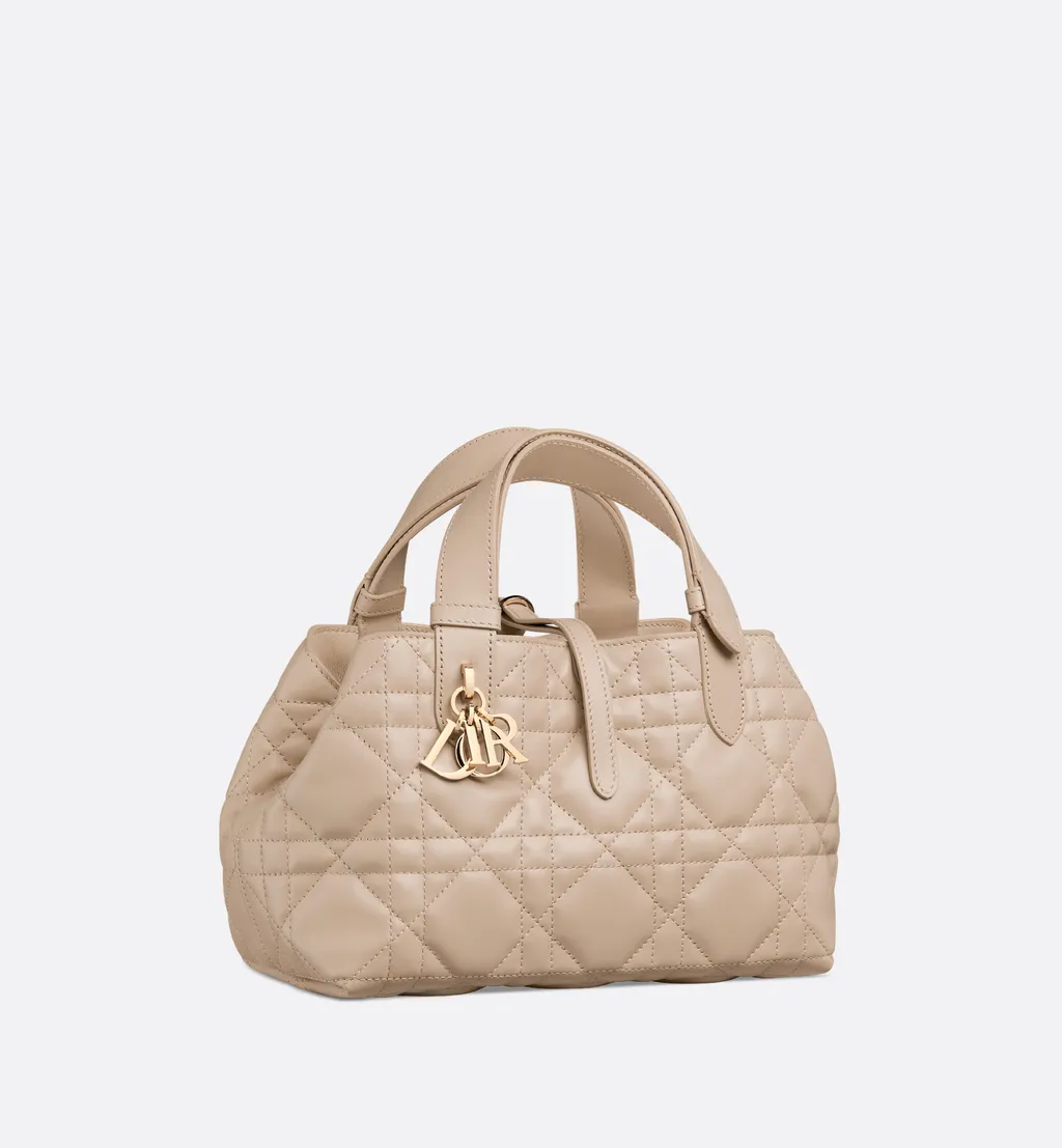 Small Dior Toujours Bag