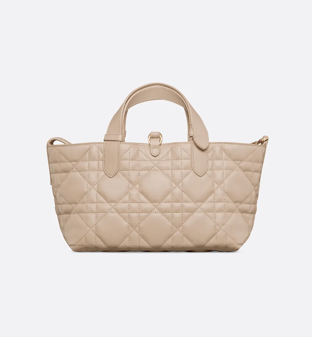 Small Dior Toujours Bag