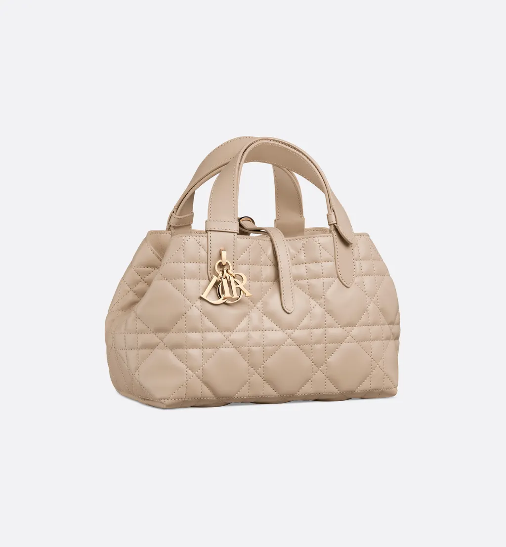 Small Dior Toujours Bag