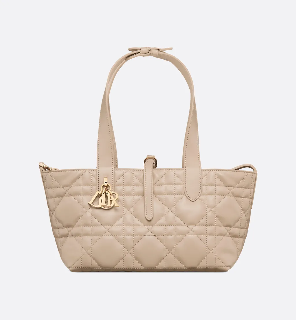 Small Dior Toujours Bag