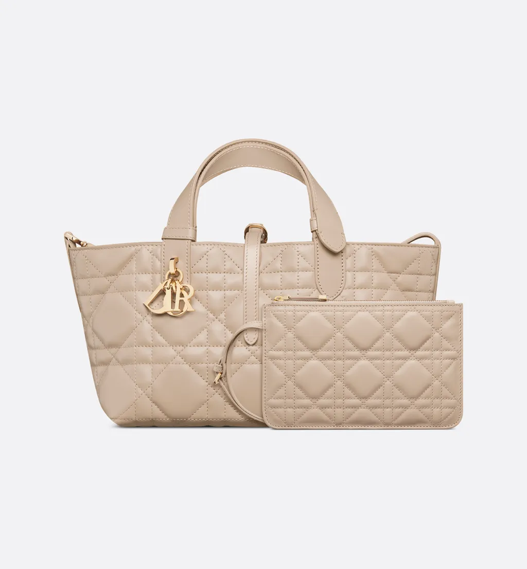 Small Dior Toujours Bag