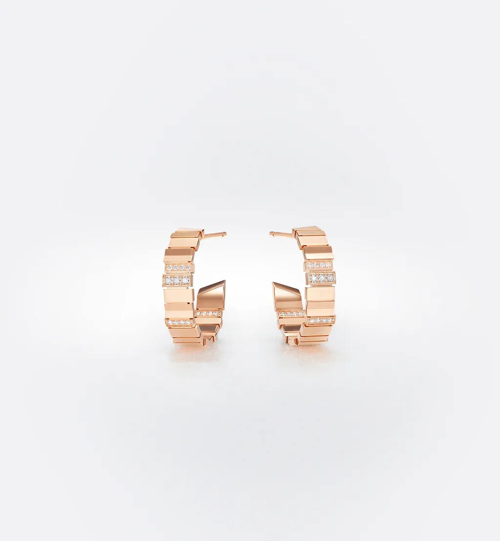 Gem Dior Earrings