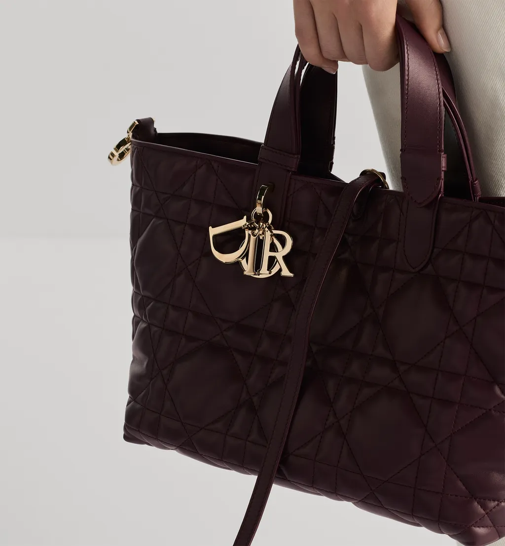 Medium Dior Toujours Bag